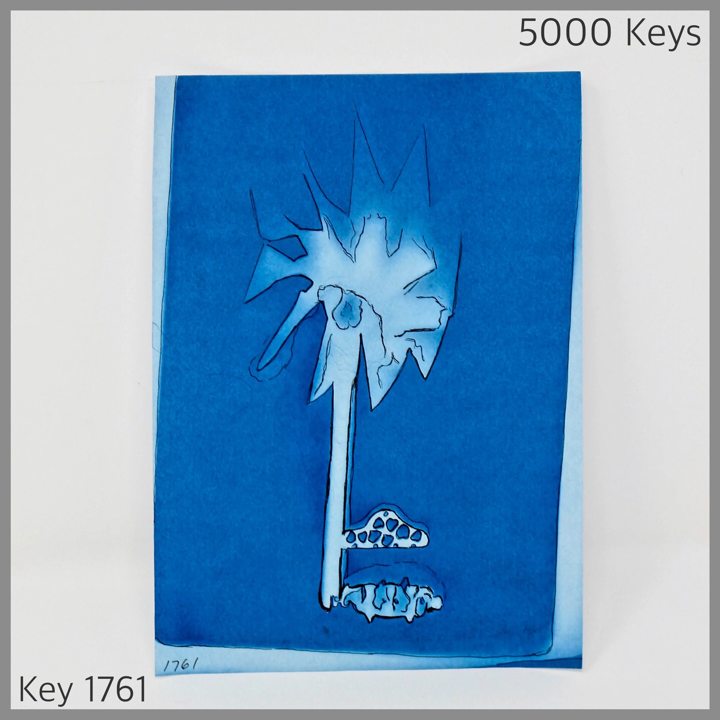 Key 1761 - 1.JPG