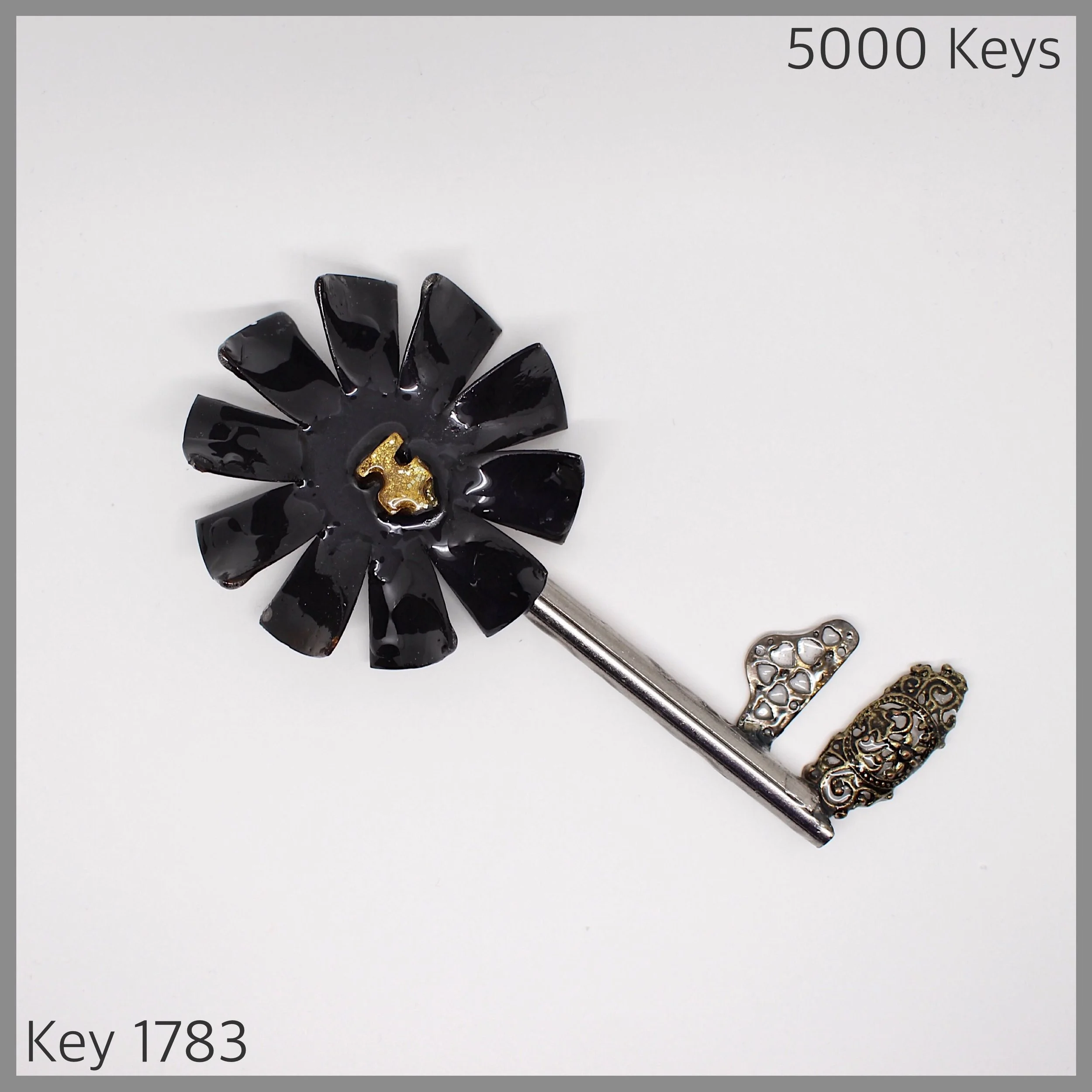 Key 1783 - 1.JPG