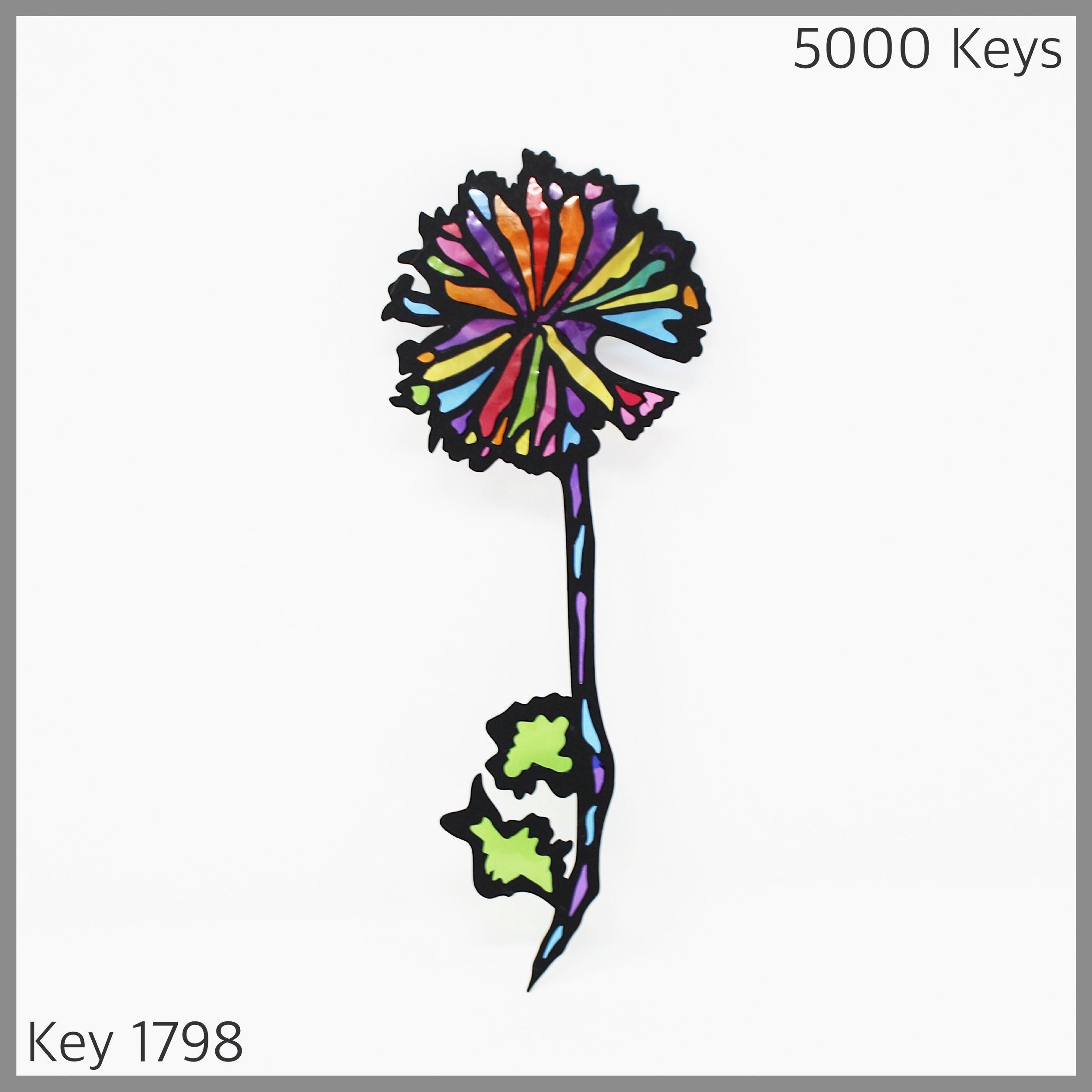 Key 1798 - 1.JPG