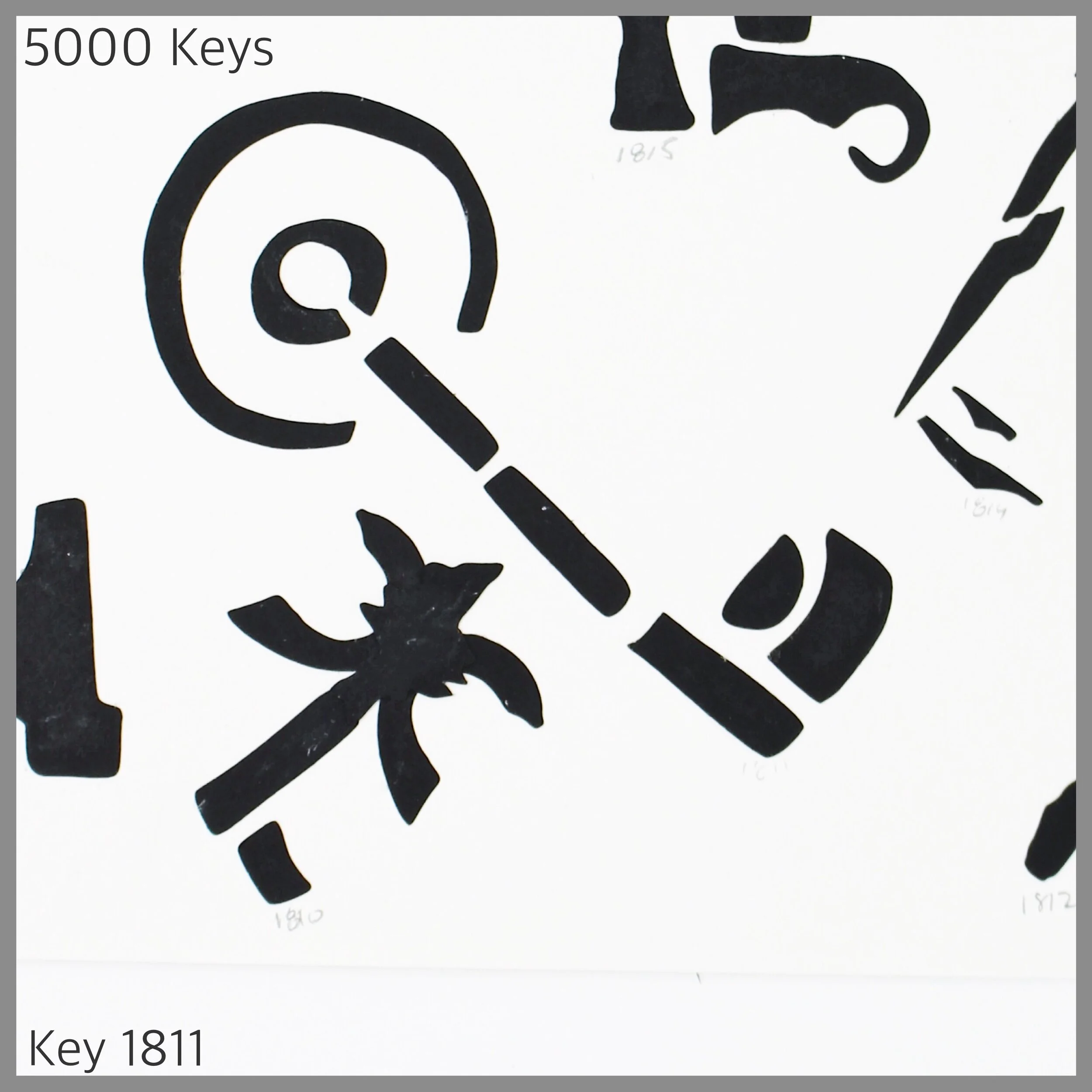 Key 1811 - 1.JPG