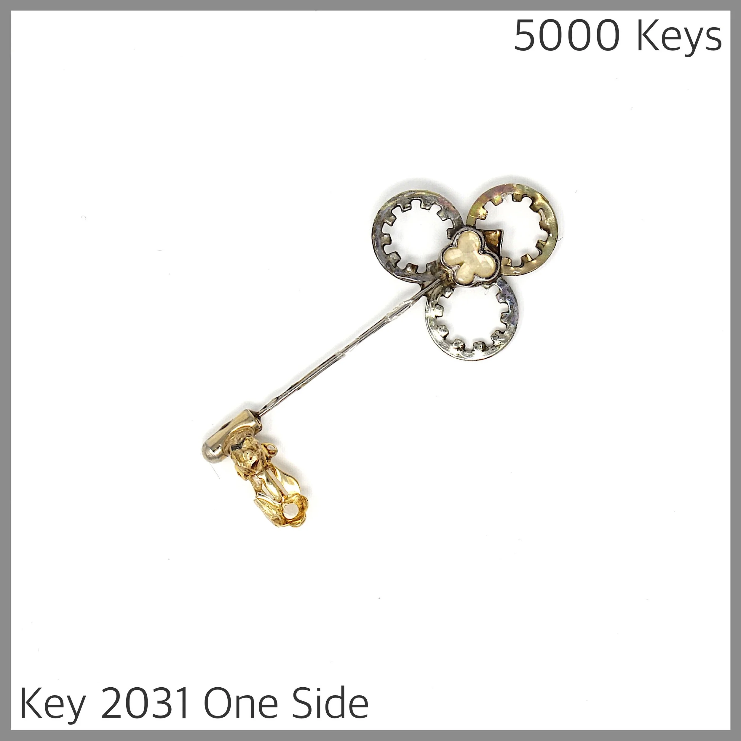 Key 2031 one side.JPG