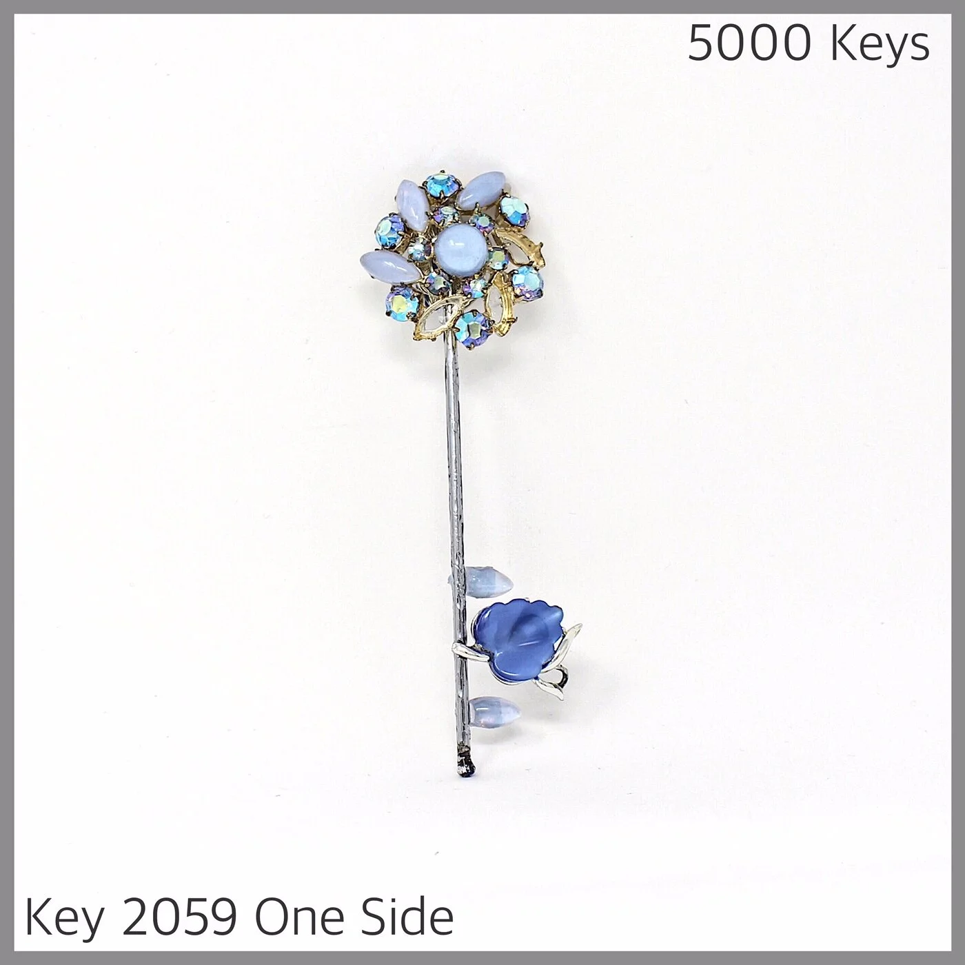 Key 2059 one side.JPG