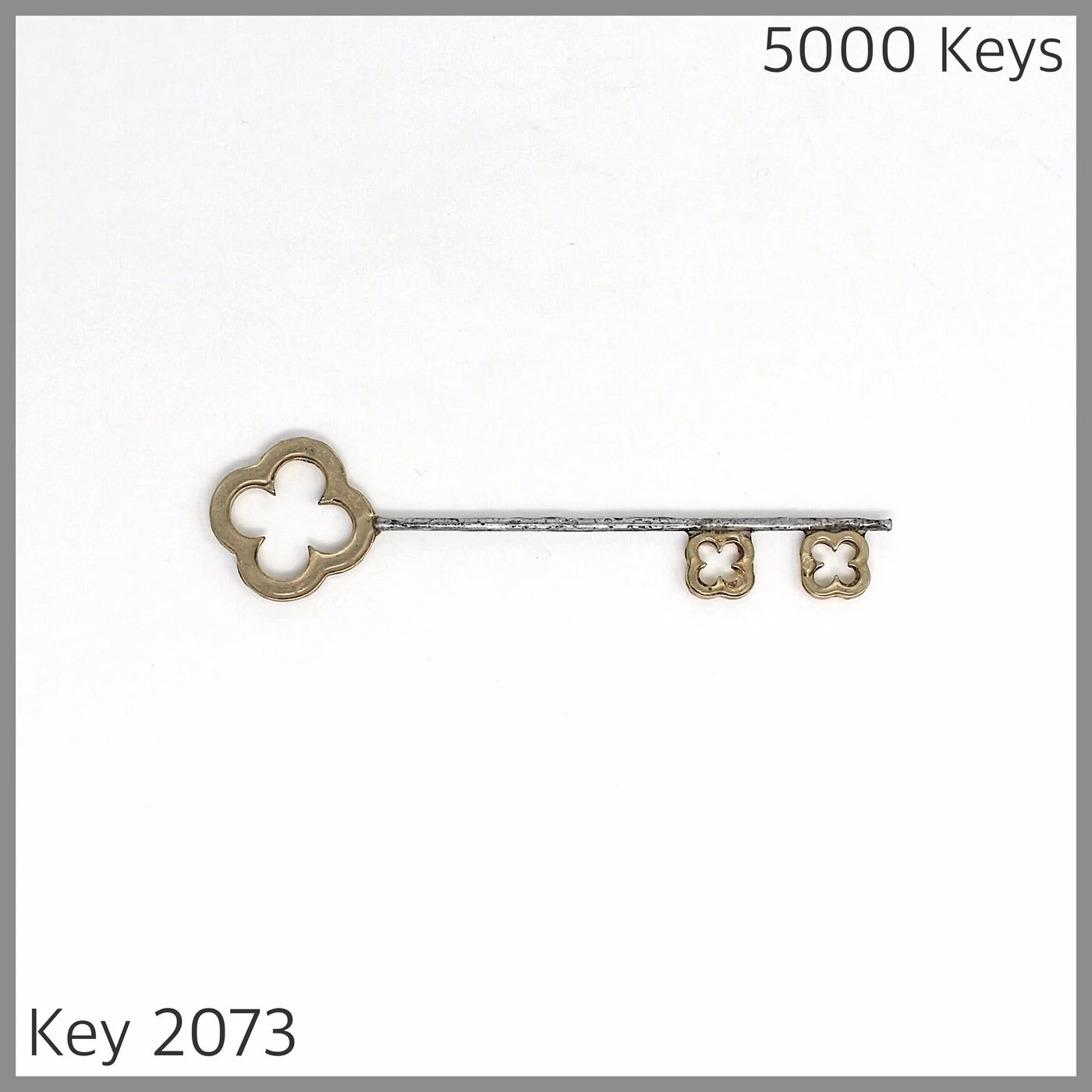 Key 2073.JPG
