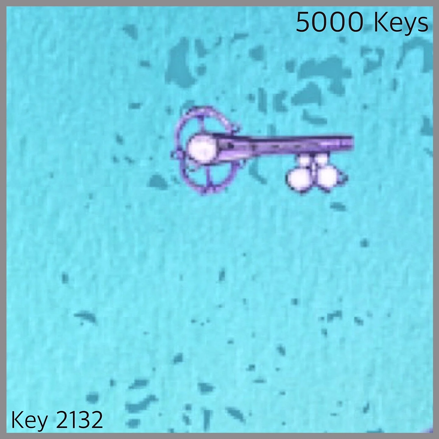 Key 2132.jpg