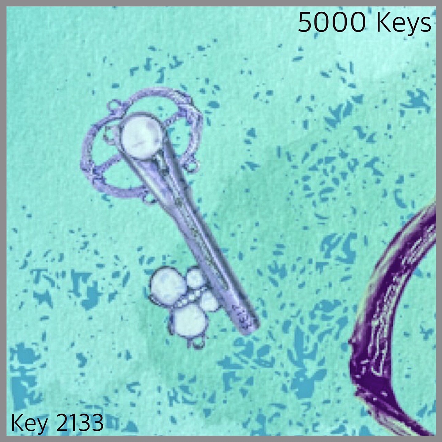 Key 2133.jpg
