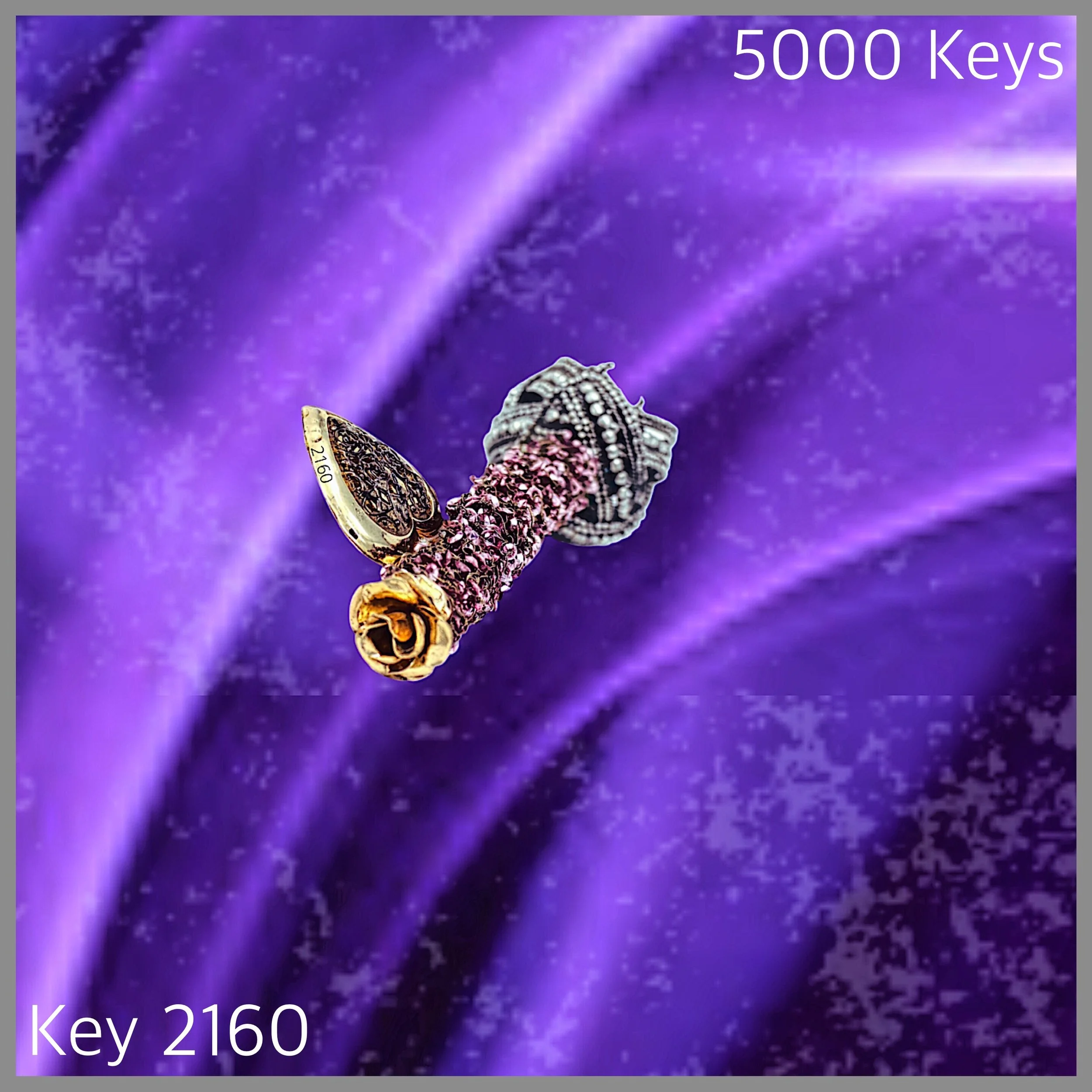 Key 2160.jpg
