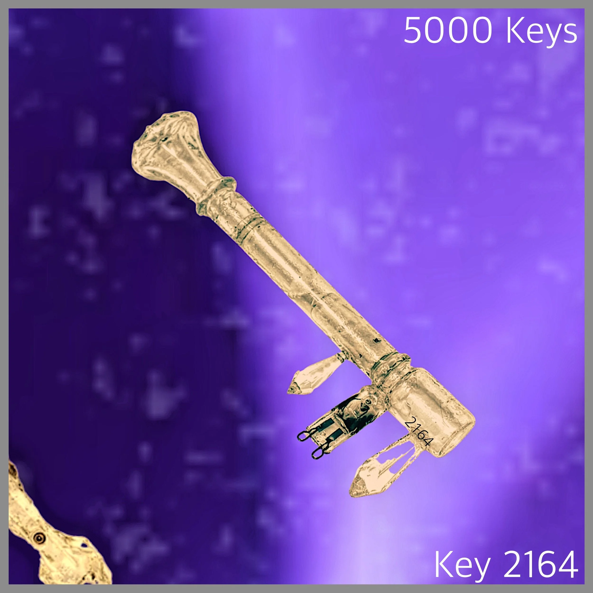 Key 2164.jpg