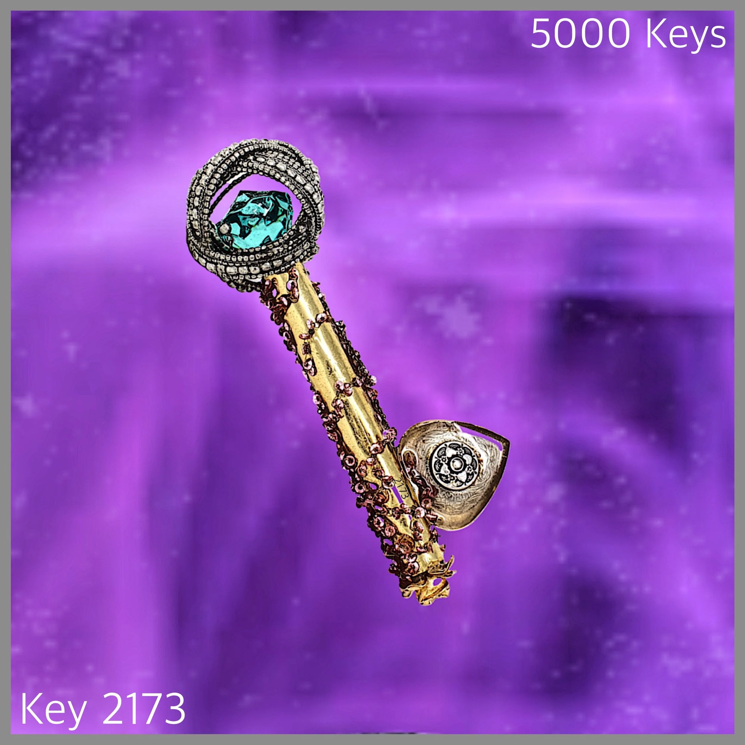 Key 2173.jpg