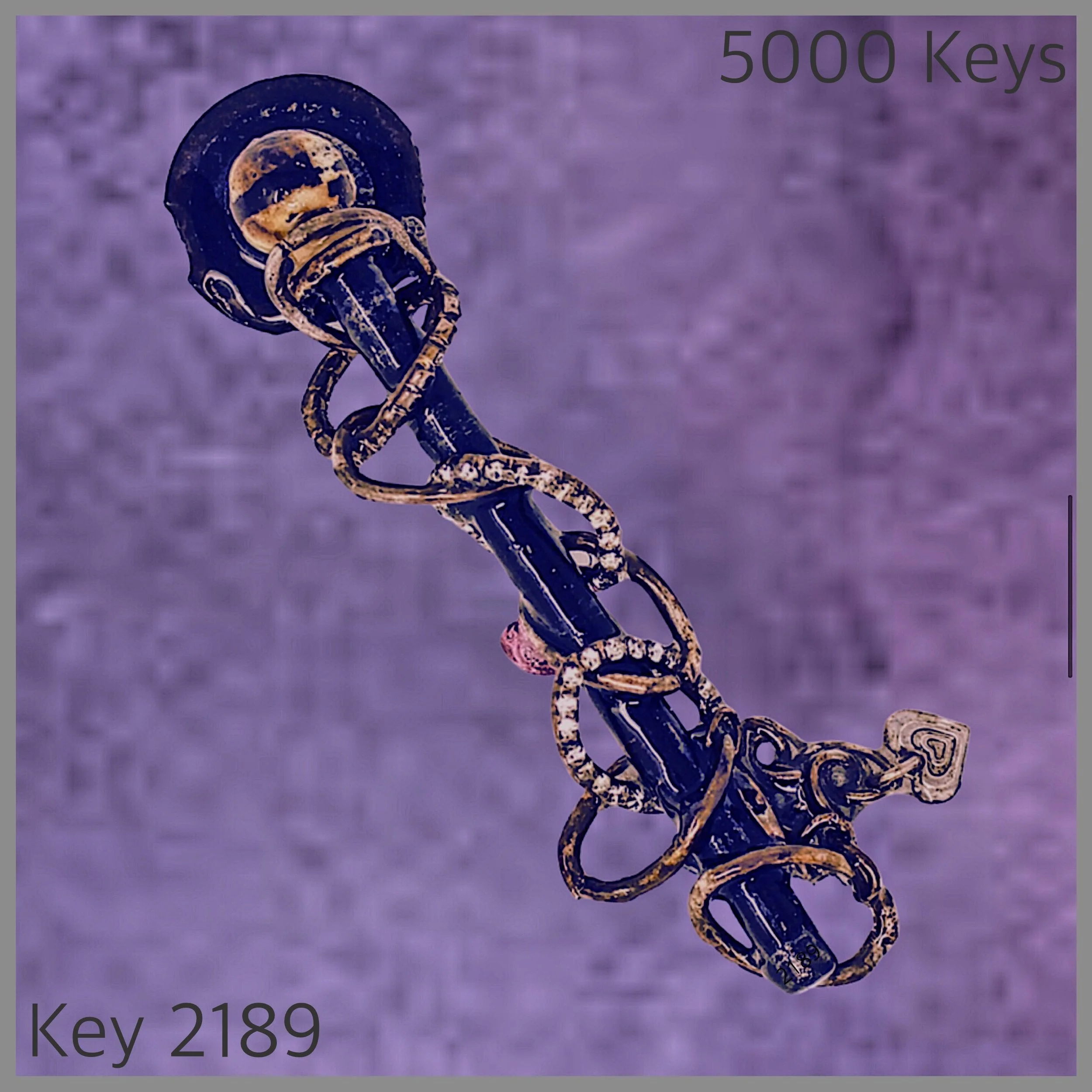Key 2189 - 1.jpg