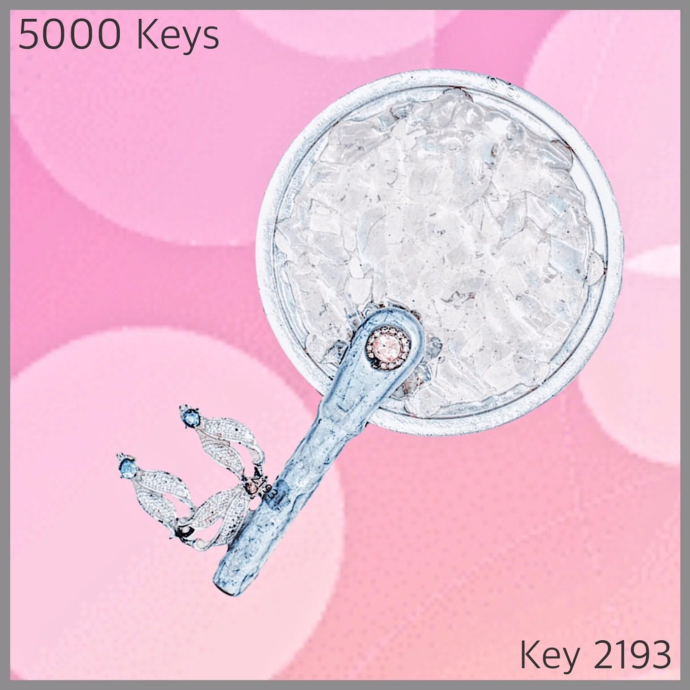 Key 2193.JPG