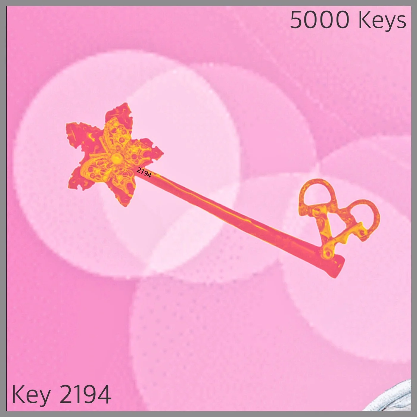 Key 2194.JPG