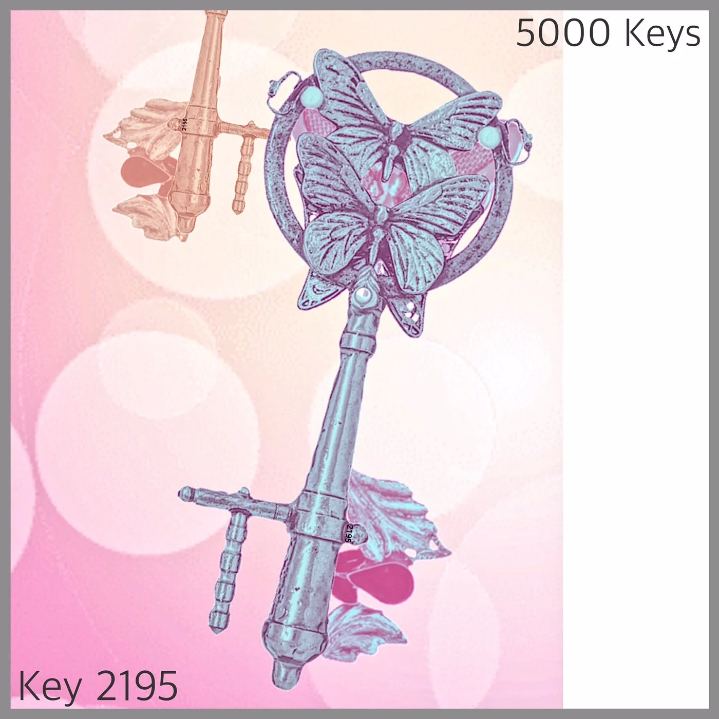 Key 2195.JPG