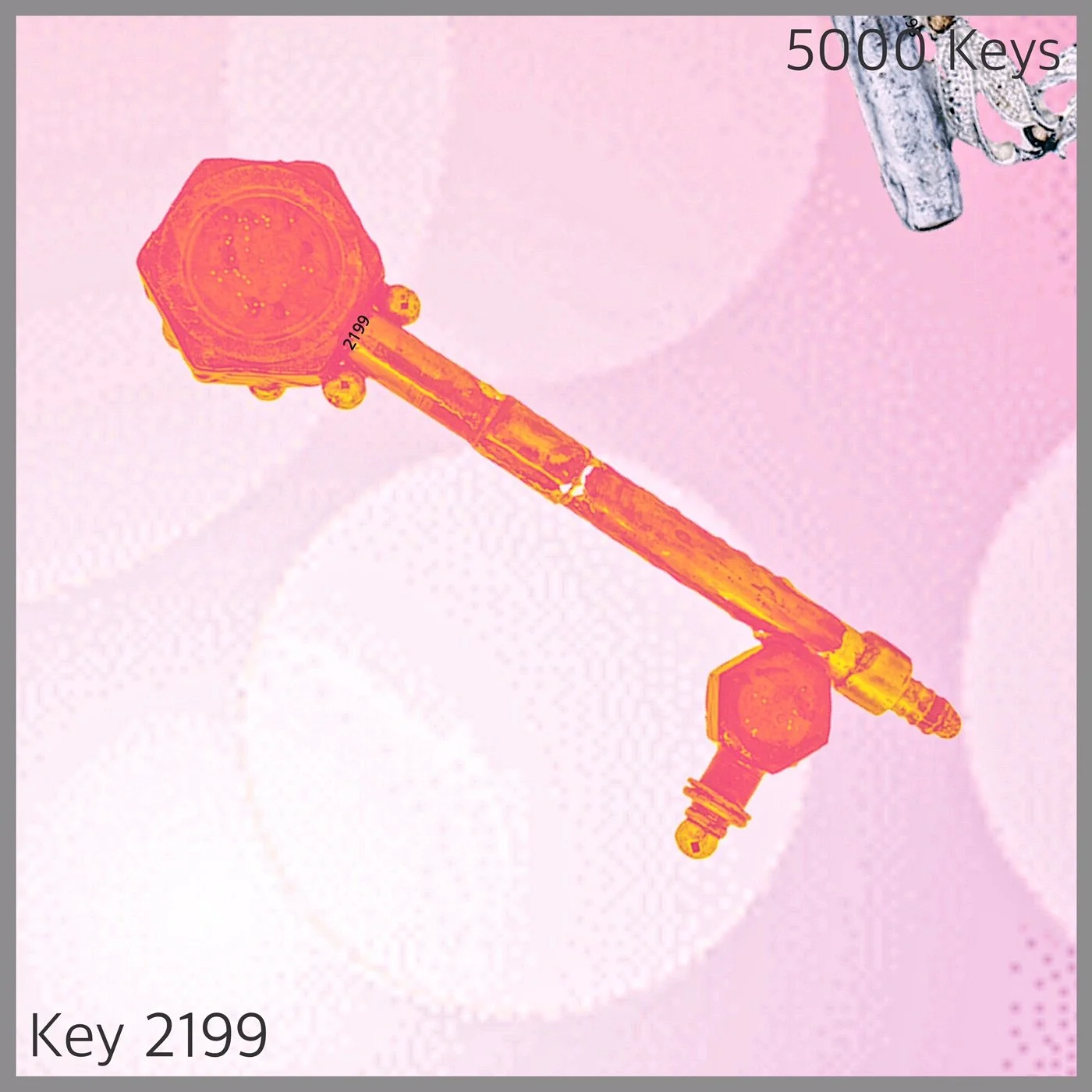 Key 2199.JPG