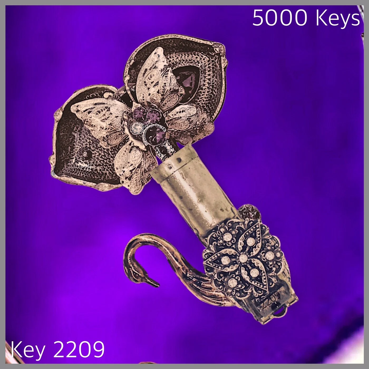 Key 2209.JPG