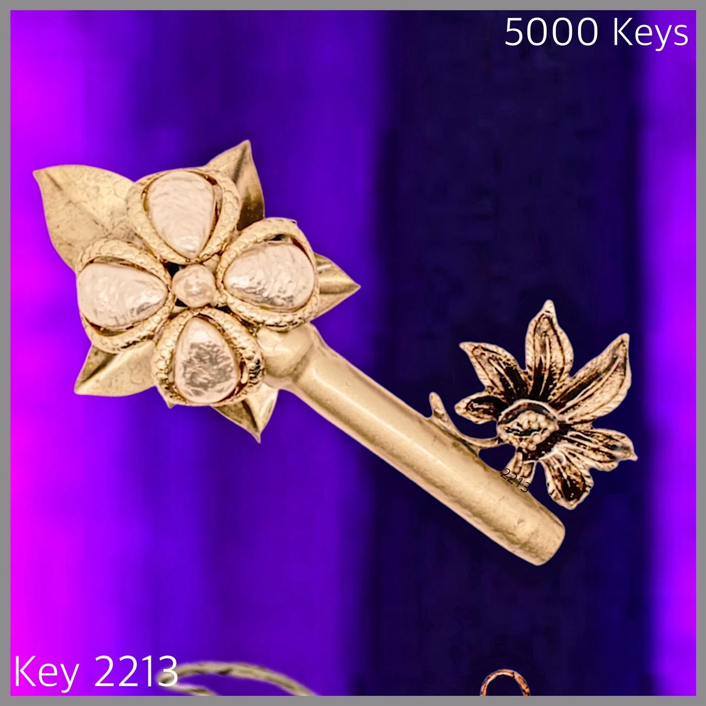 Key 2213.JPG