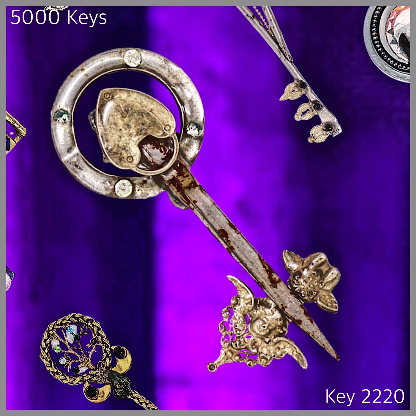 Key 2220.JPG
