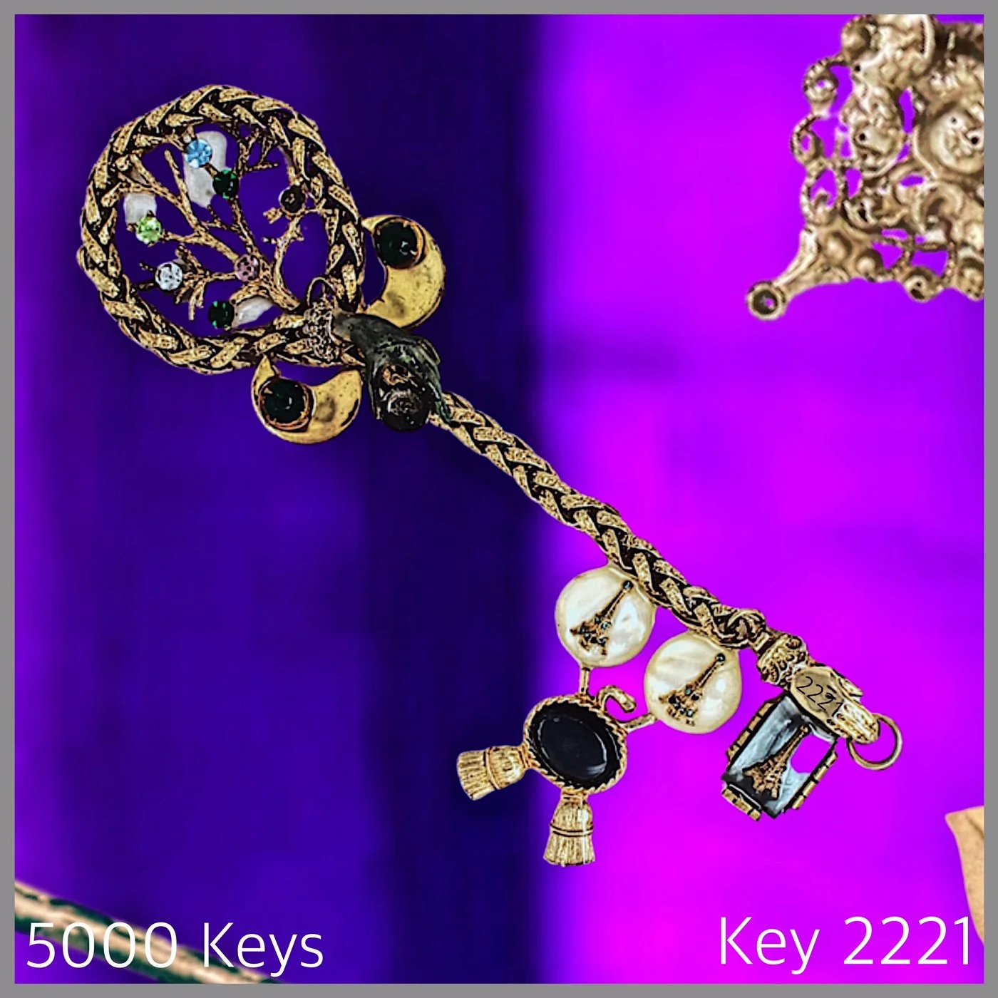 Key 2221.JPG
