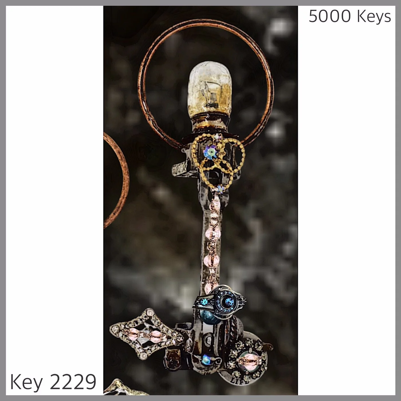 Key 2229.JPG
