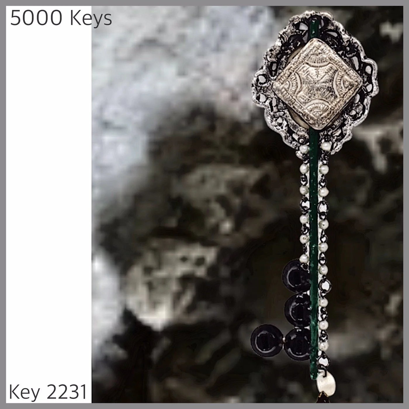 Key 2231.JPG