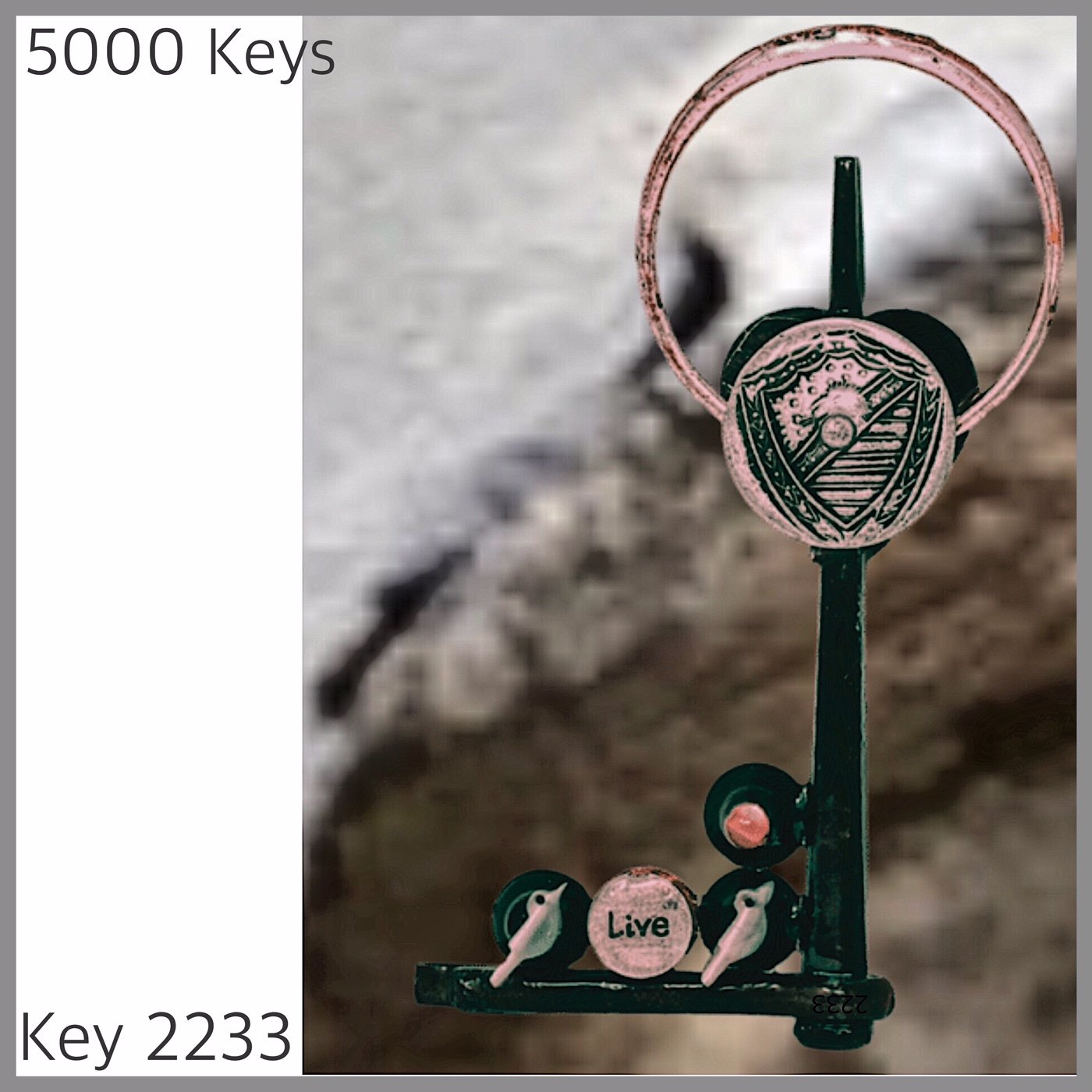 Key 2233.JPG