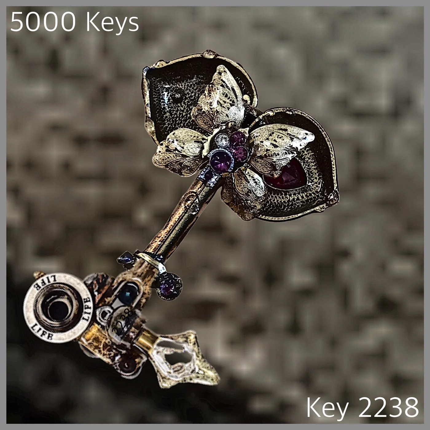 Key 2238 .JPG