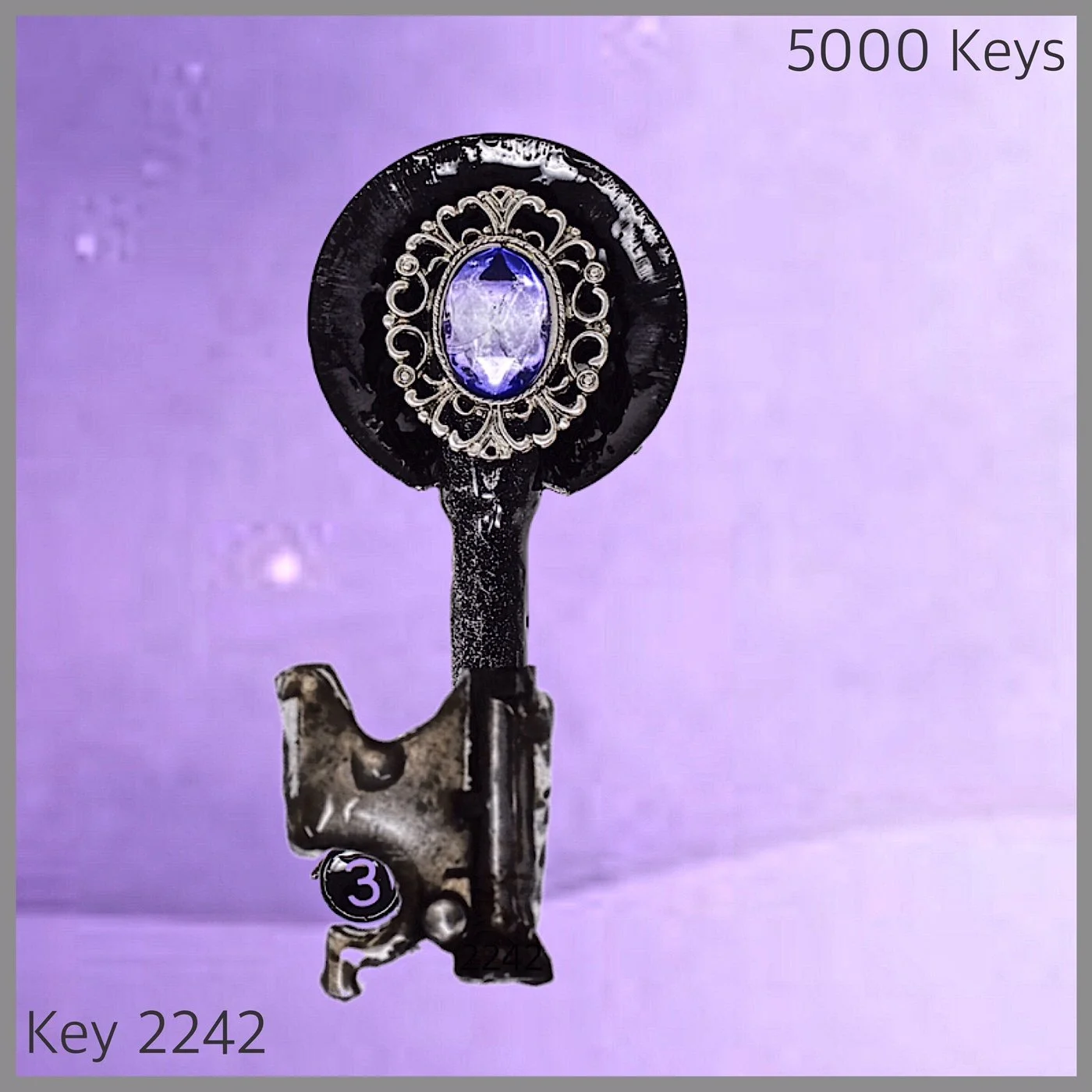 Key 2242.JPG