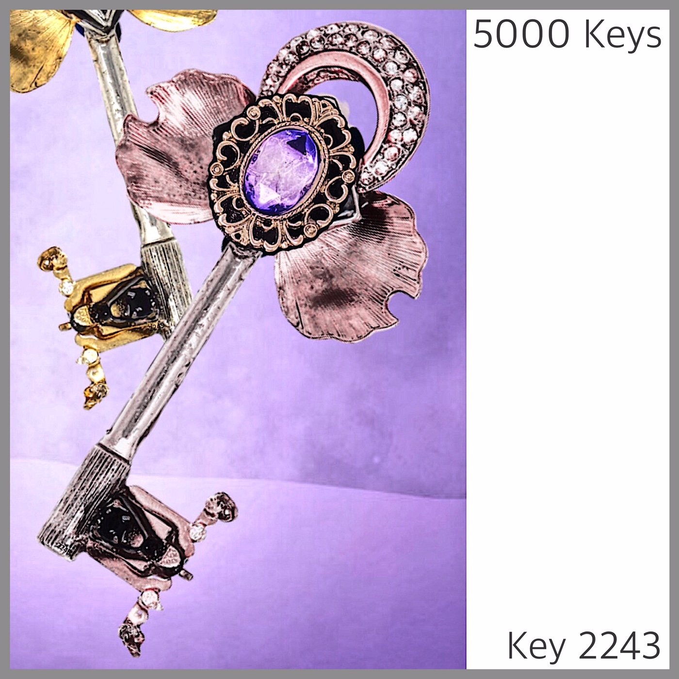 Key 2243.JPG