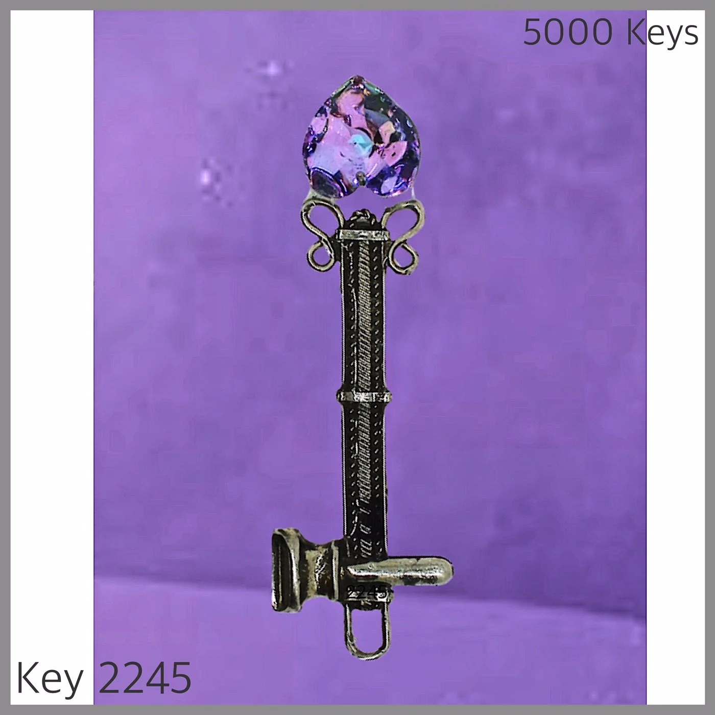 Key 2245.JPG