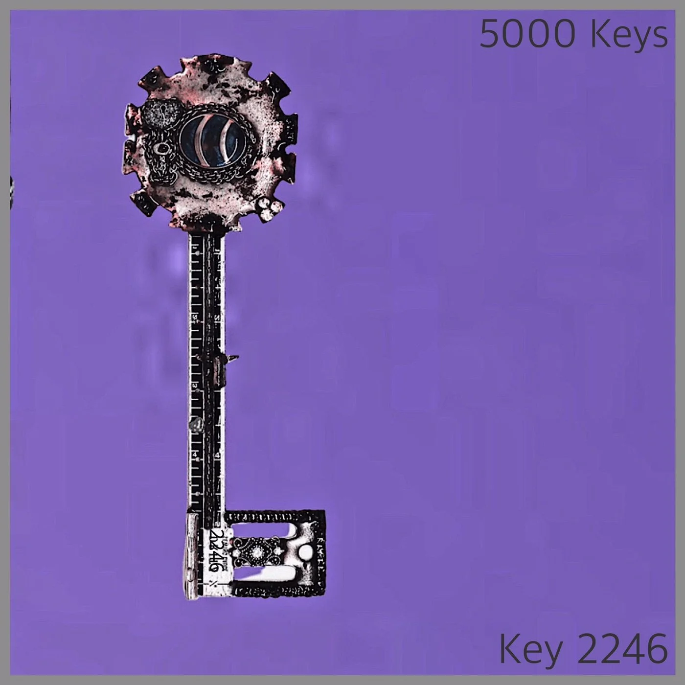 Key 2246.JPG