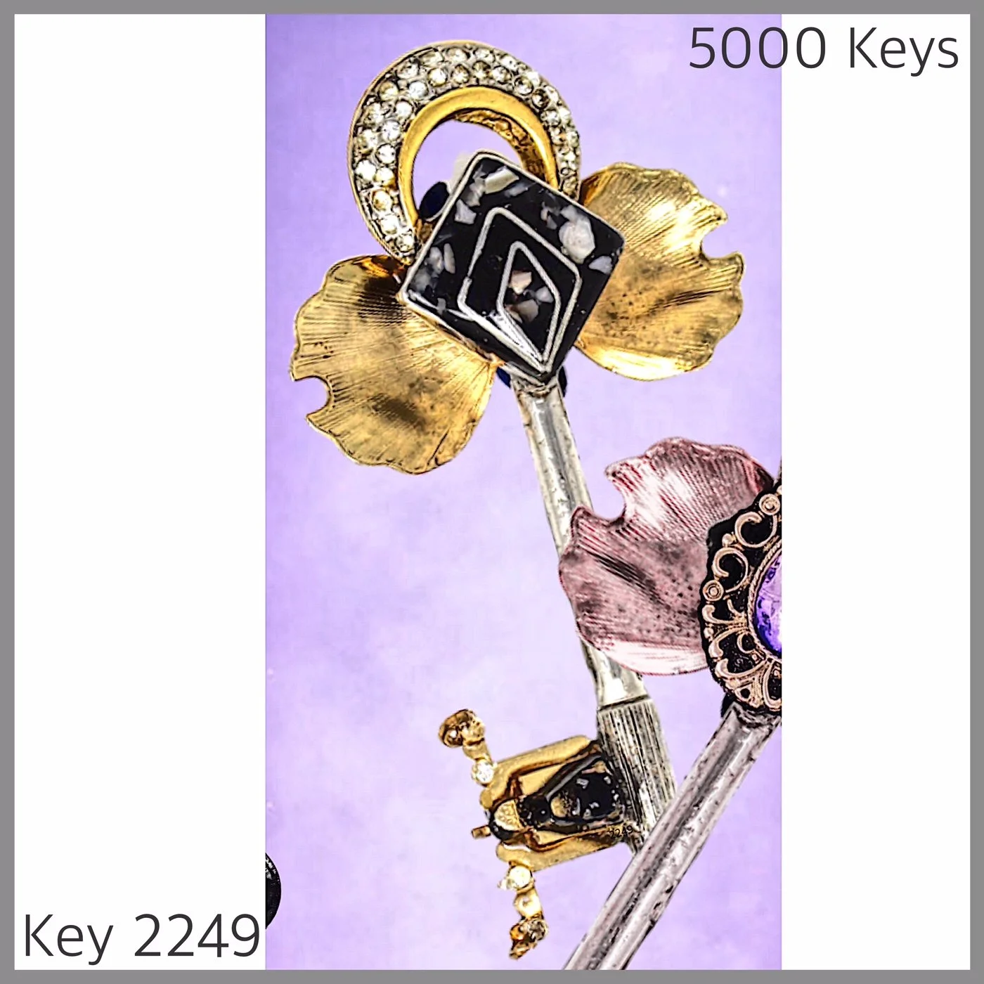 Key 2249.JPG