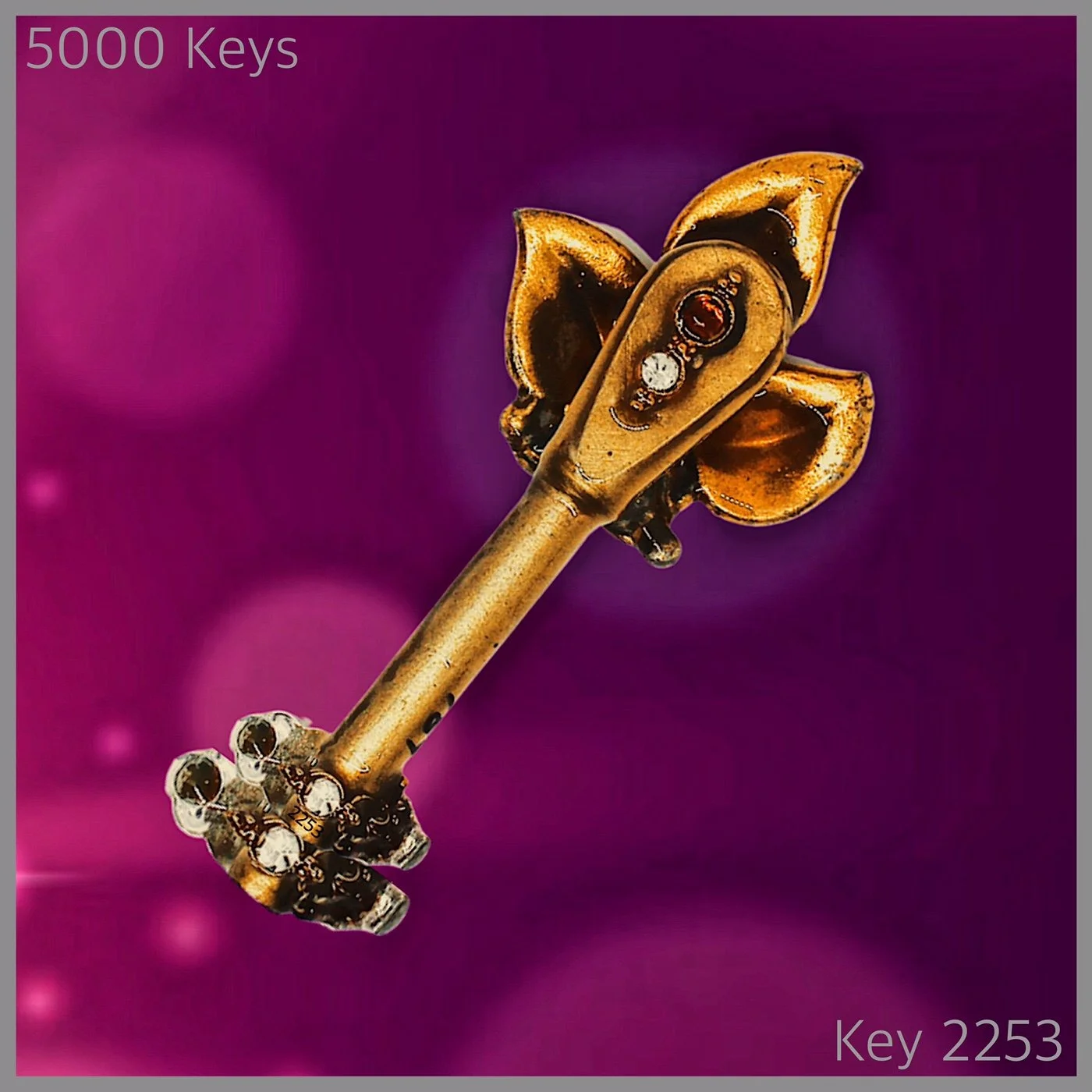 Key 2253.JPG