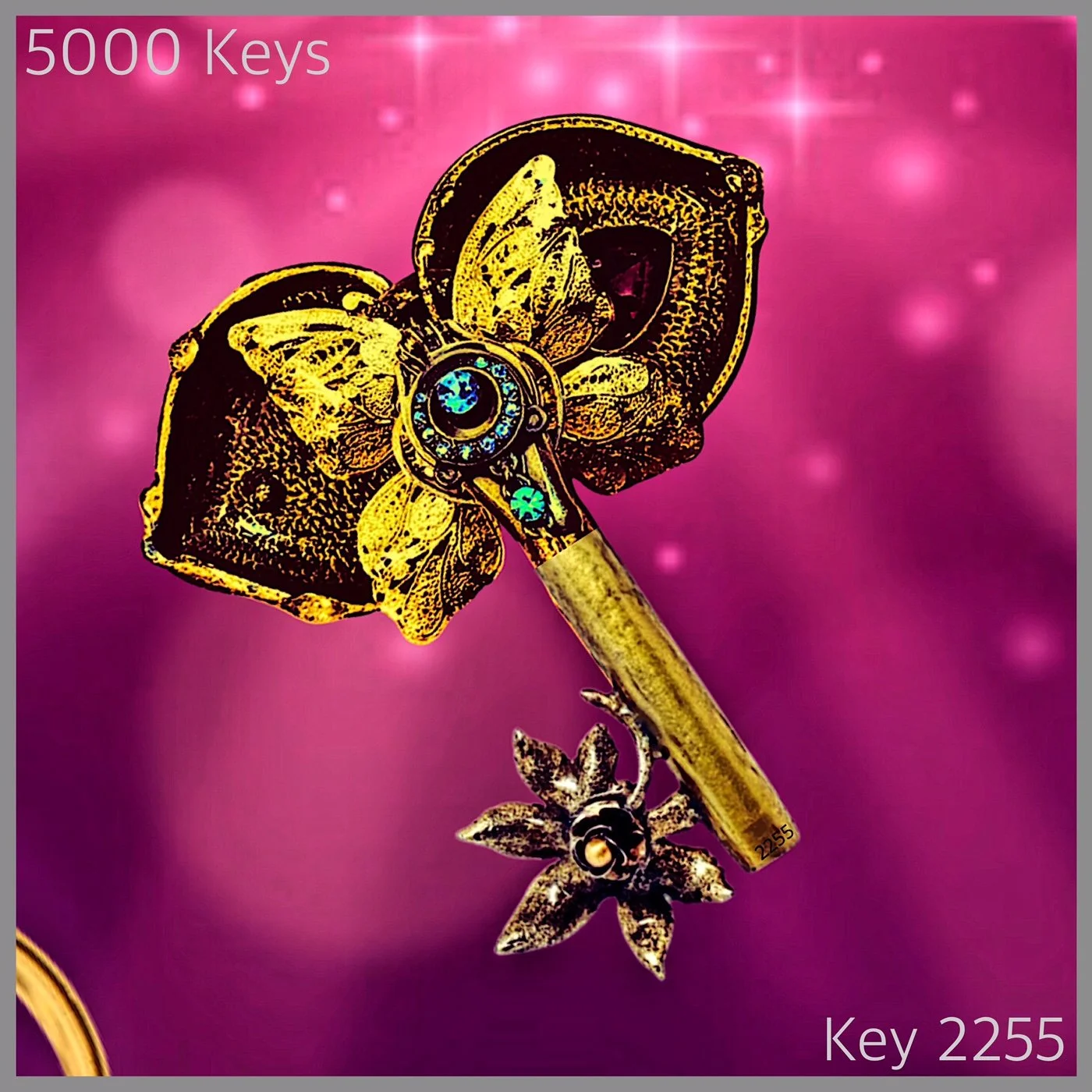 Key 2255.JPG