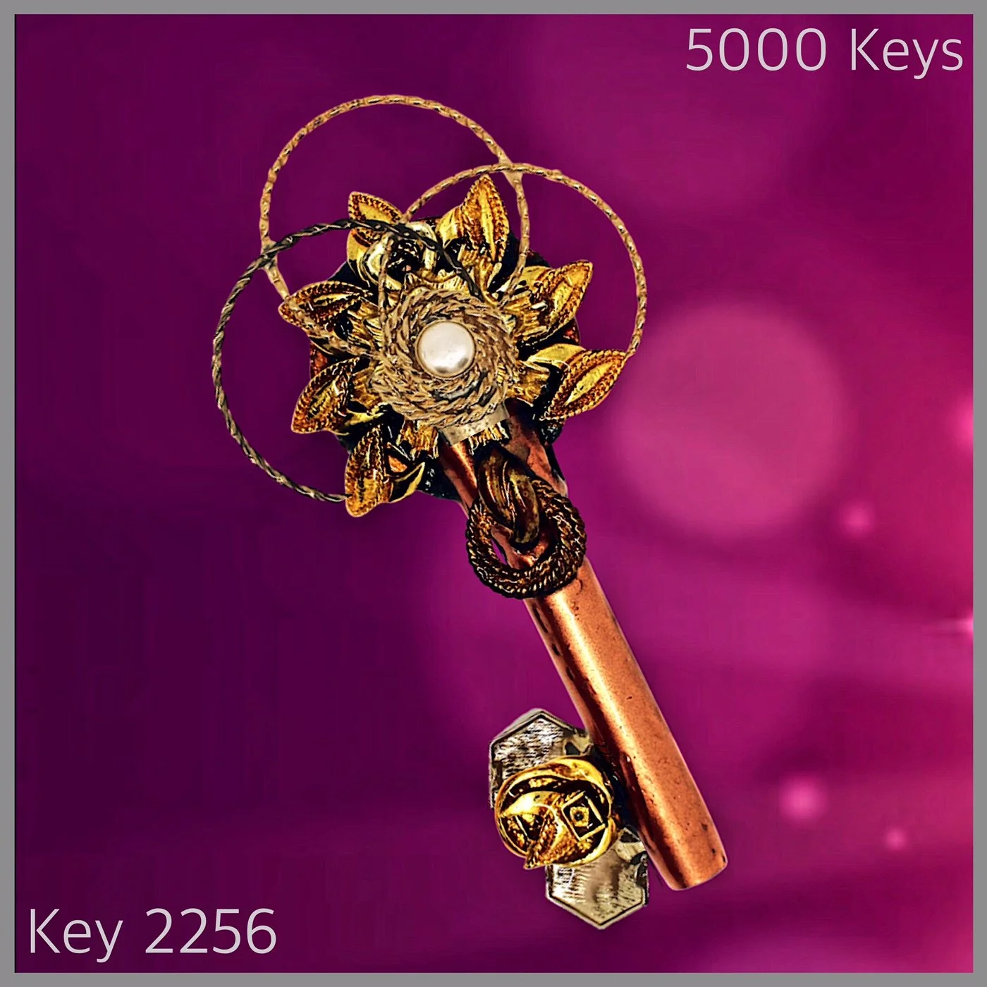 Key 2256.JPG