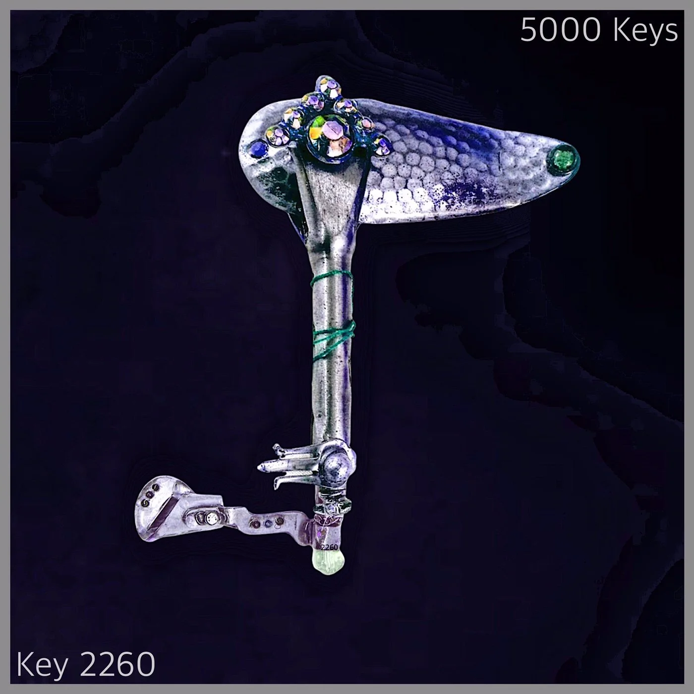 Key 2260.JPG