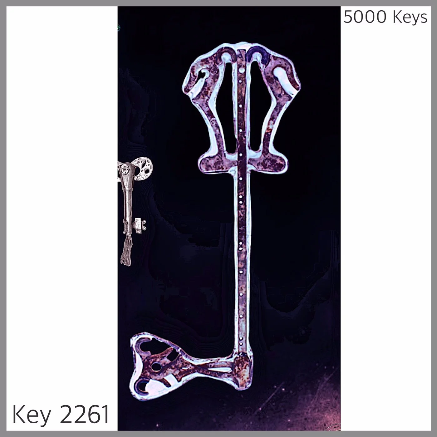 Key 2261.JPG