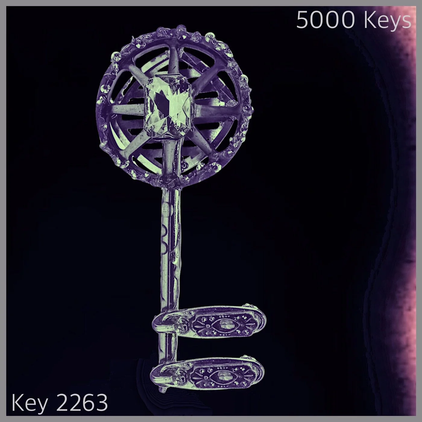 Key 2263.JPG