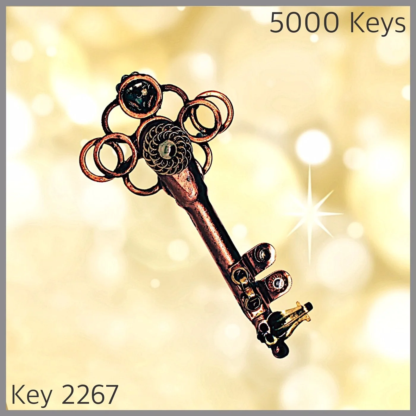 Key 2267.JPG