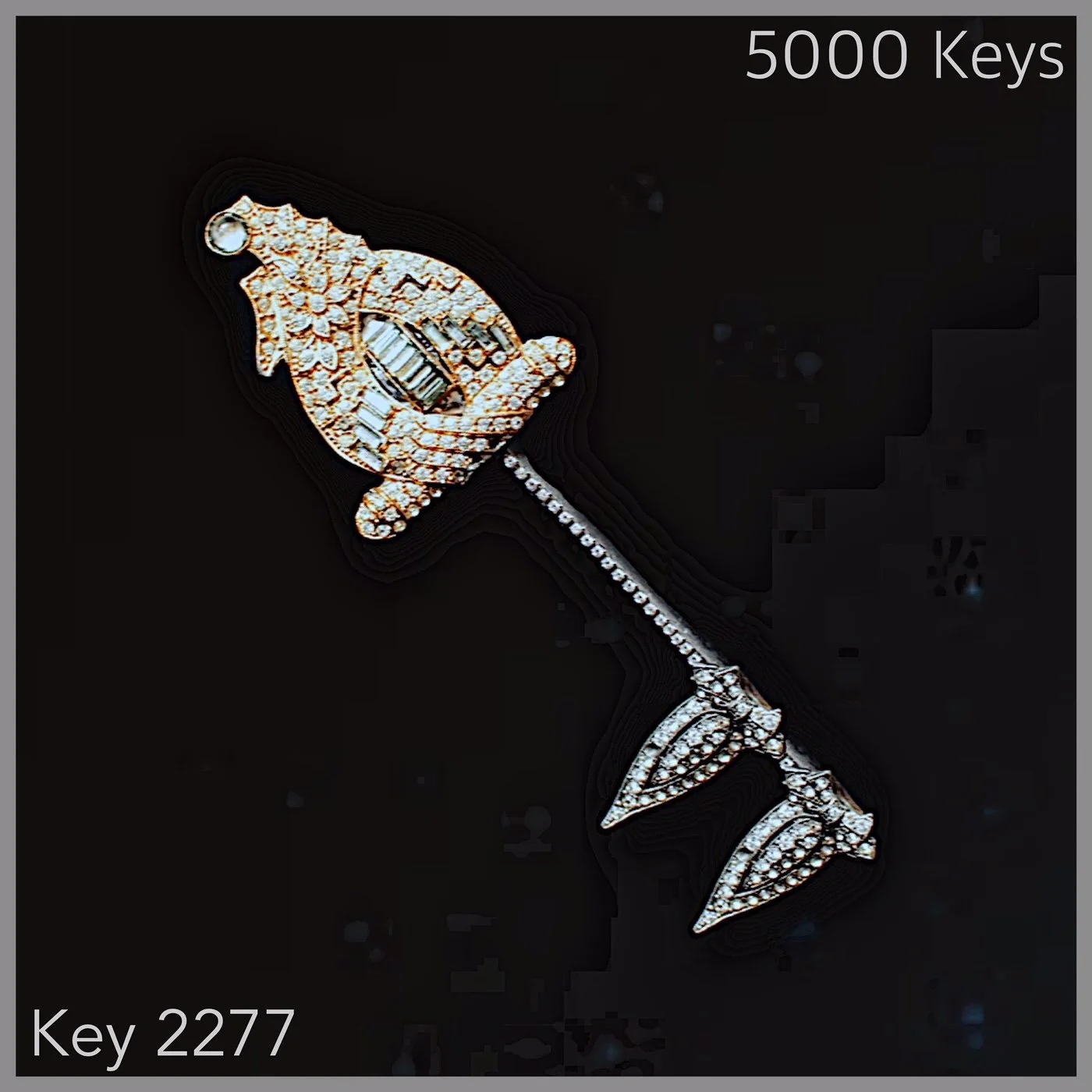 Key 2277.JPG