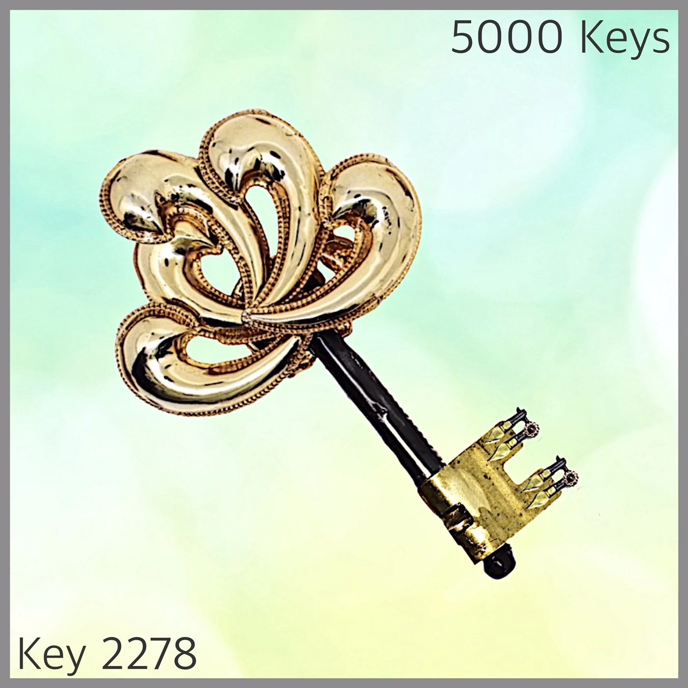 Key 2278.JPG