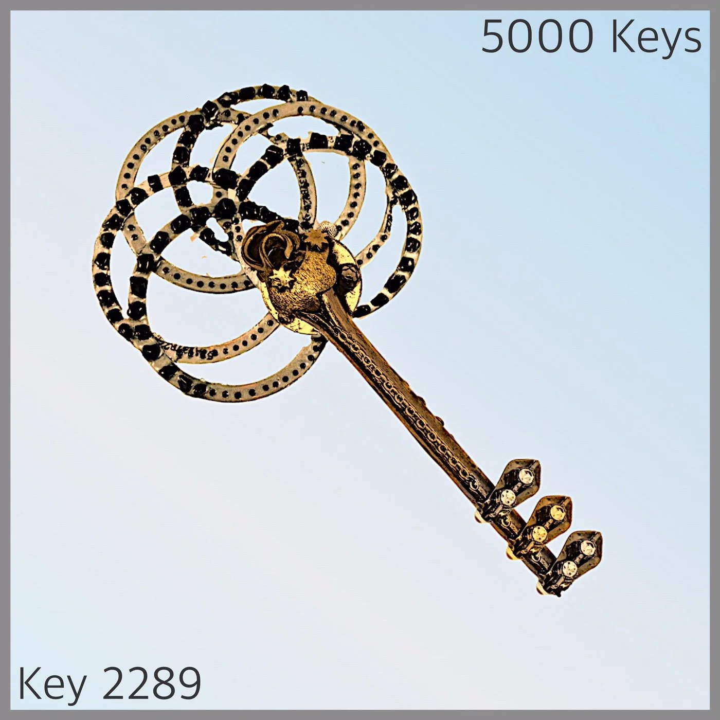 Key 2289.JPG