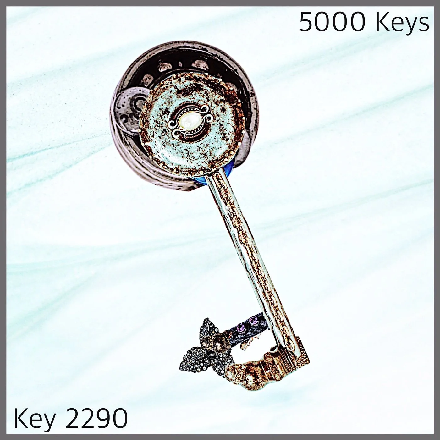Key 2290.JPG