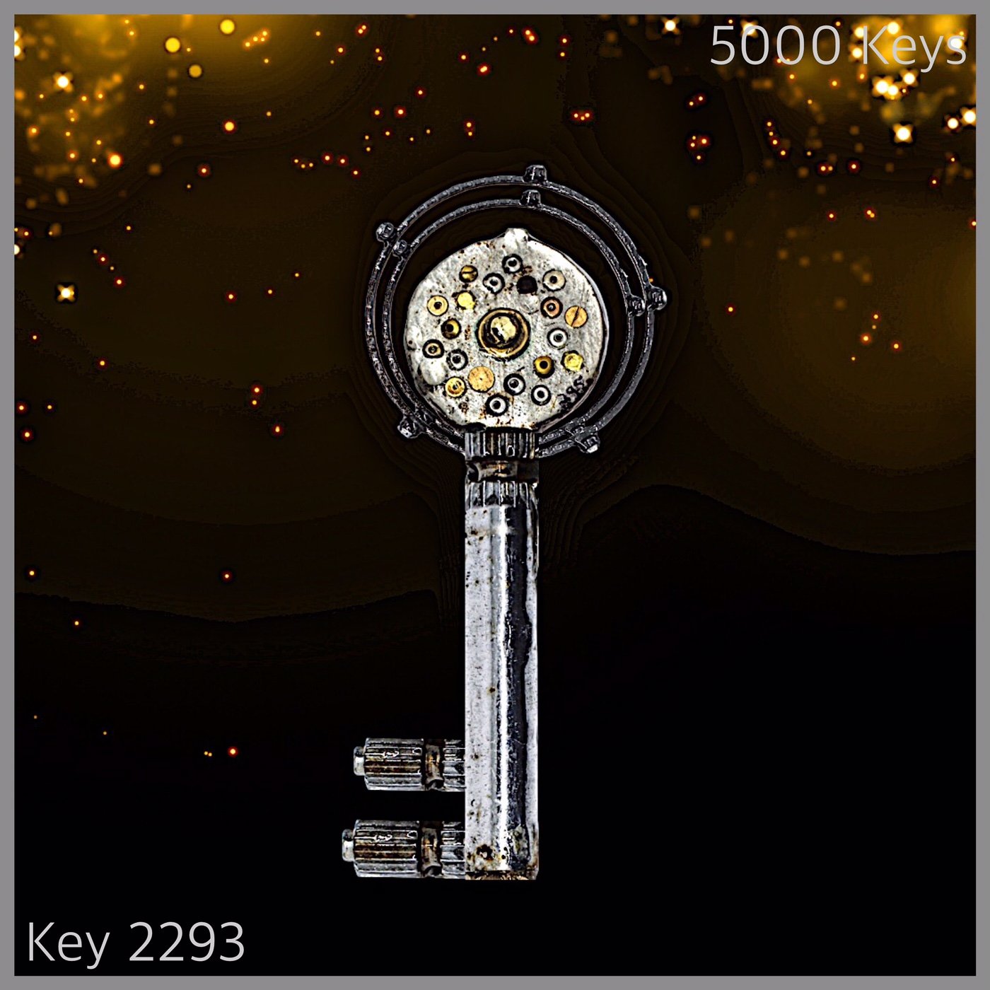 Key 2293.JPG