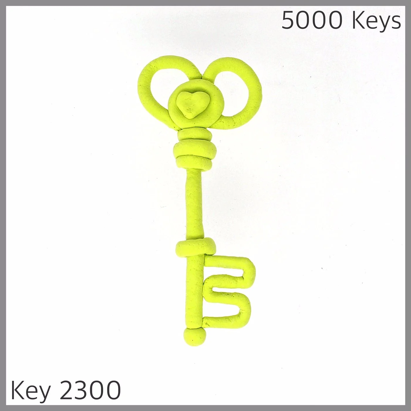 Key 2300.JPG
