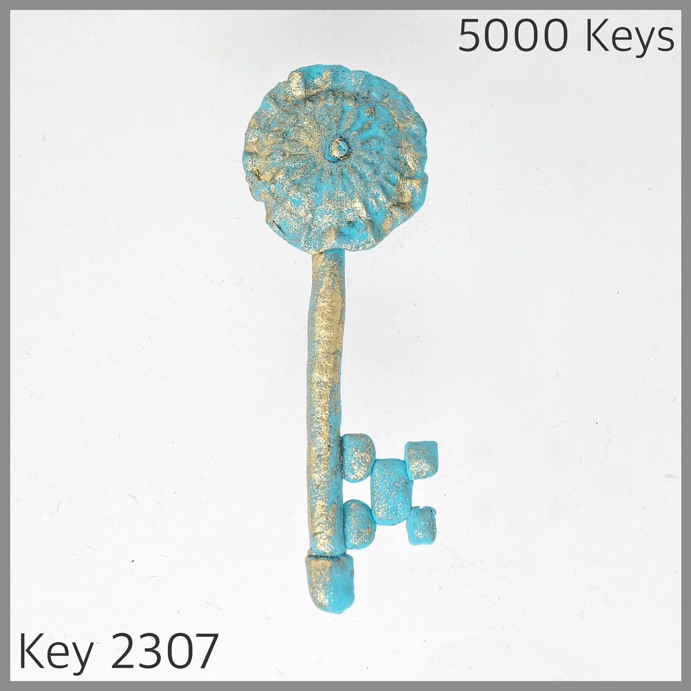 Key 2307.JPG