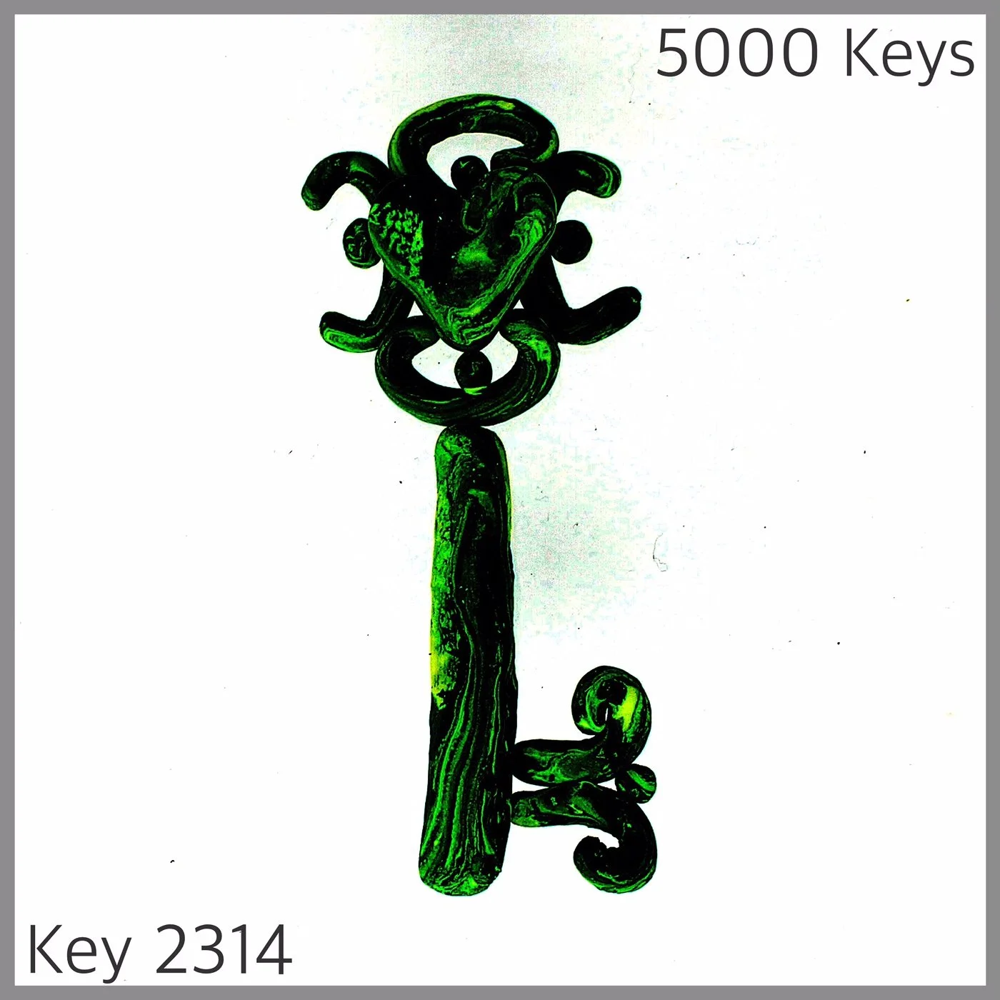 Key 2314.JPG