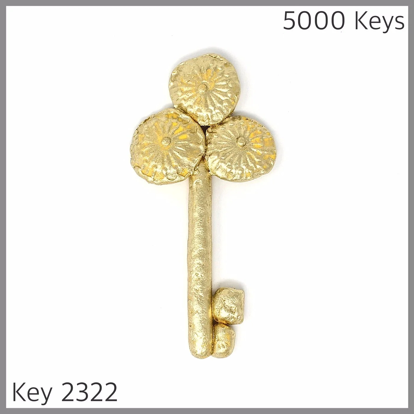 Key 2322.JPG