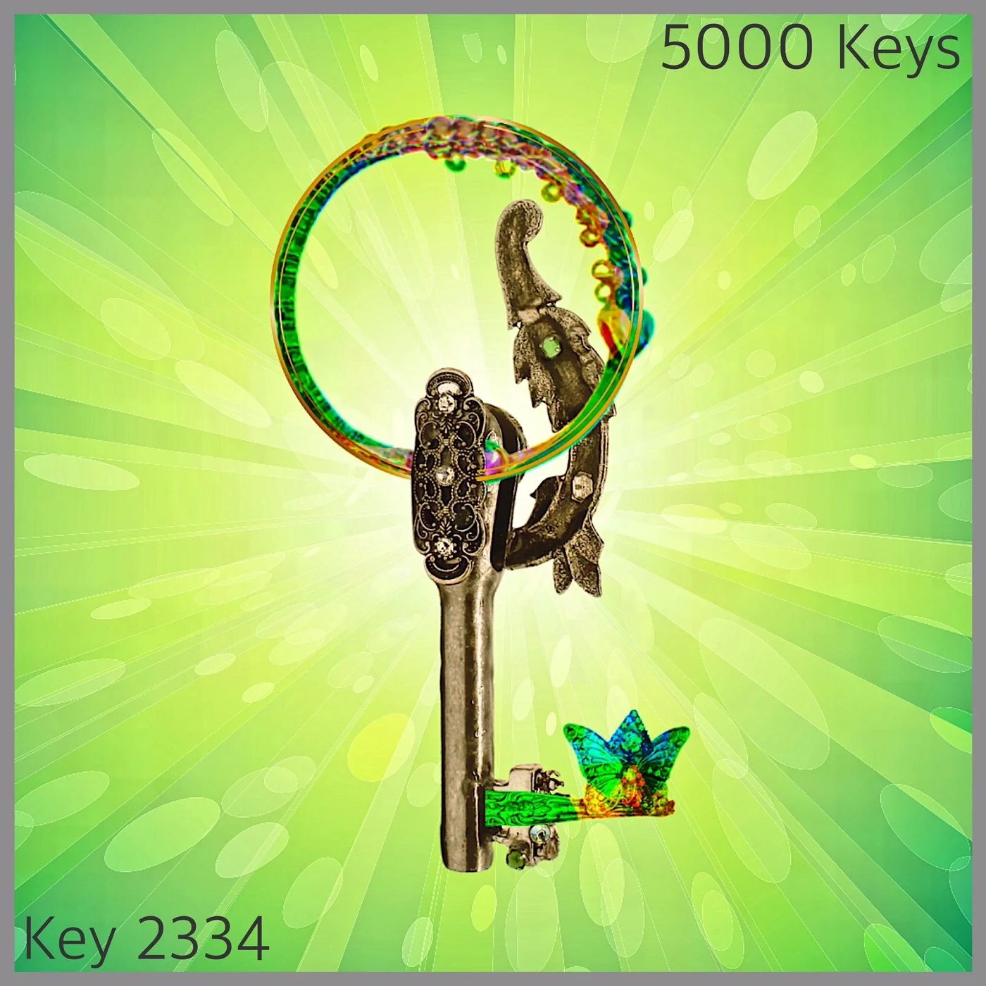 Key 2334.JPG