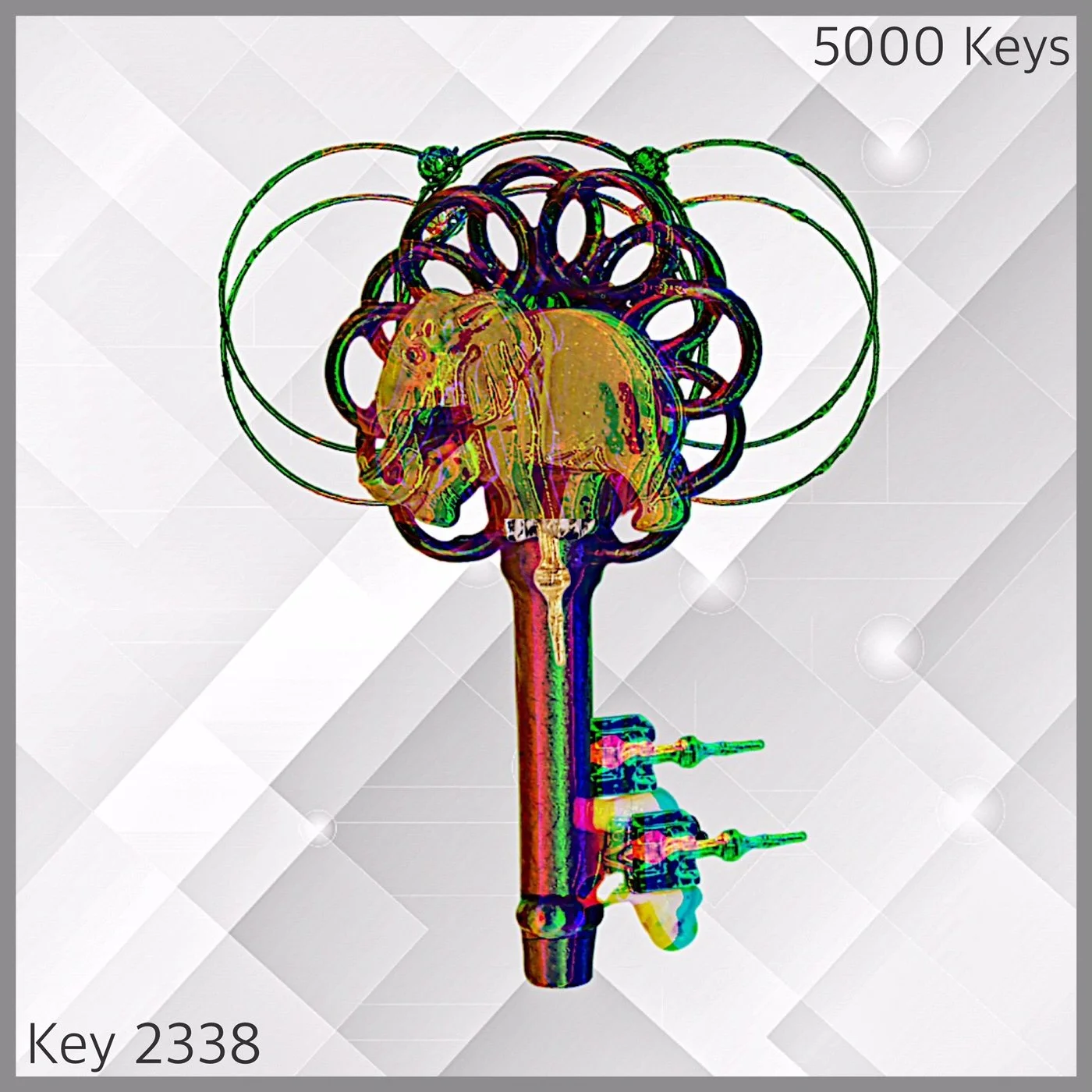Key 2338.JPG