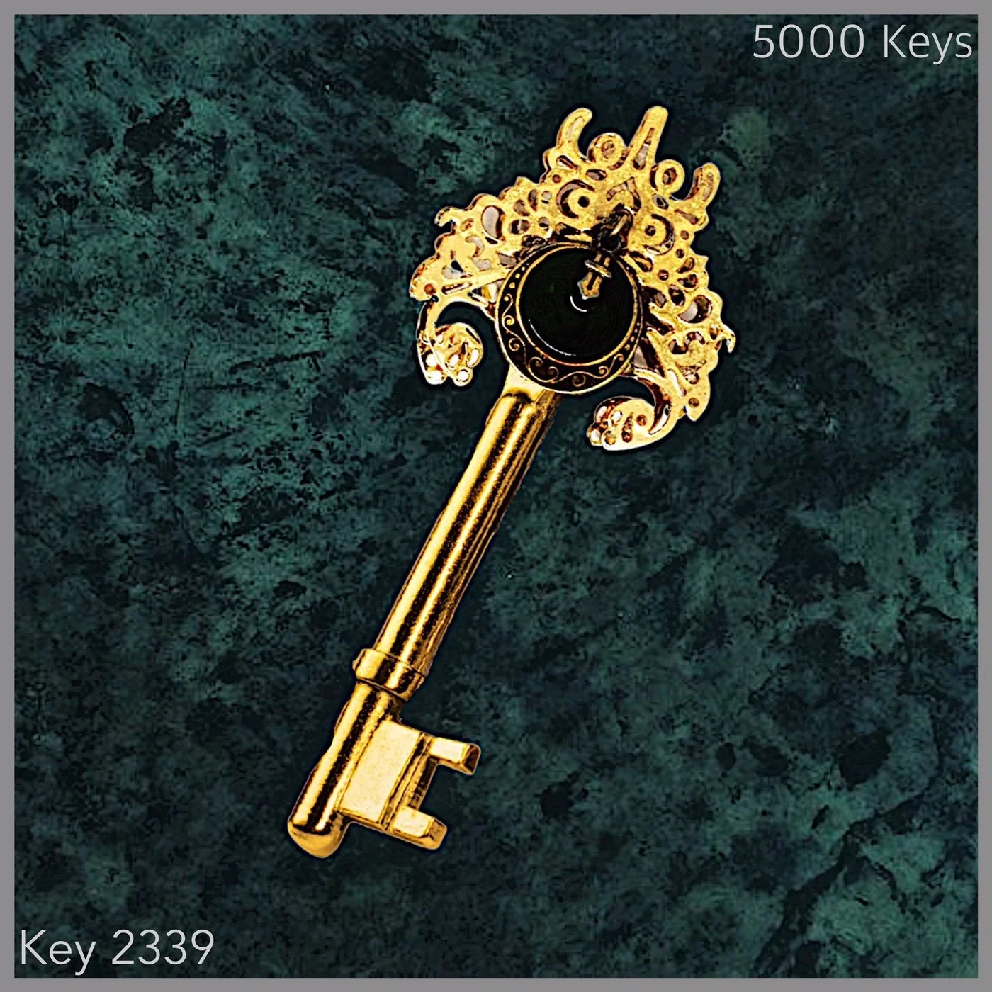 Key 2339.JPG