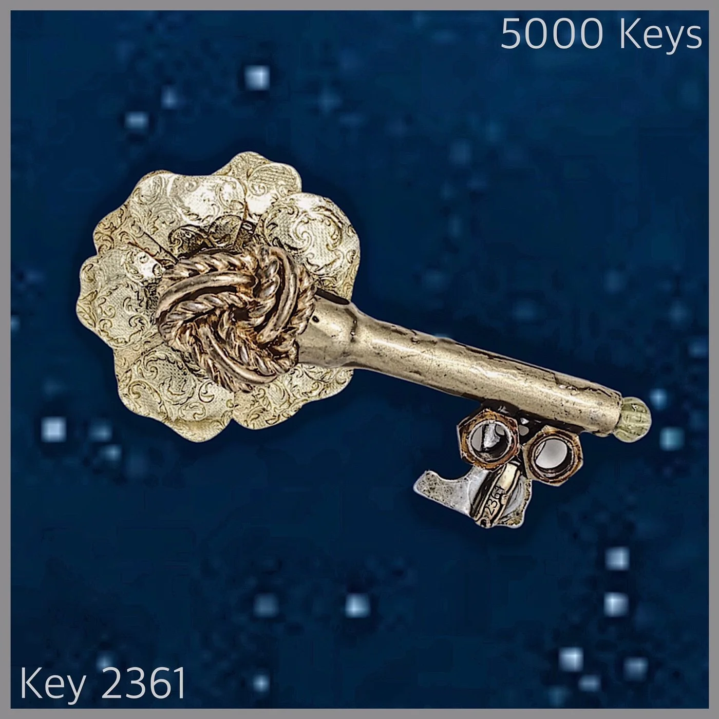 Key 2361.JPG